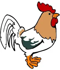 Image poule
