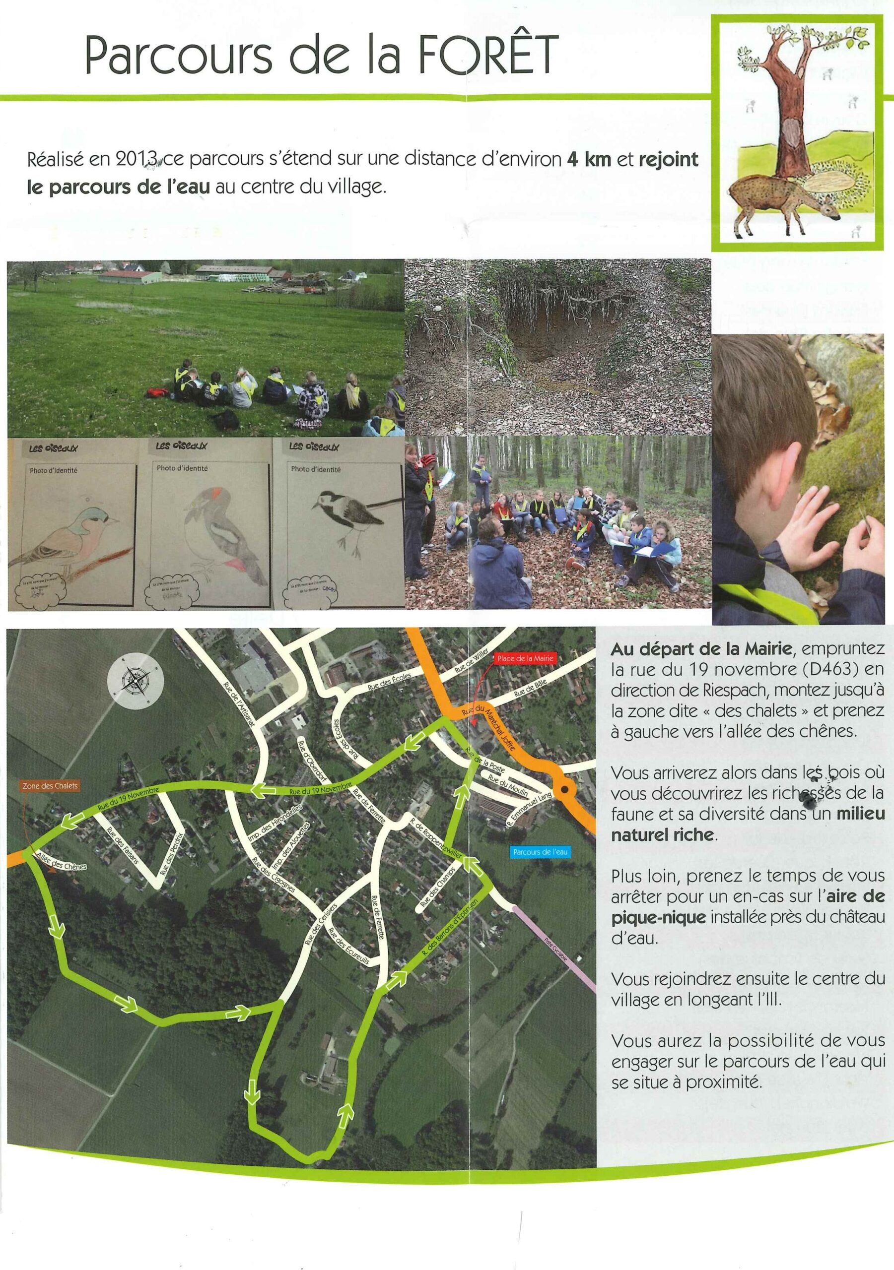 carte parcours de la forêt du sentier pédagogique
