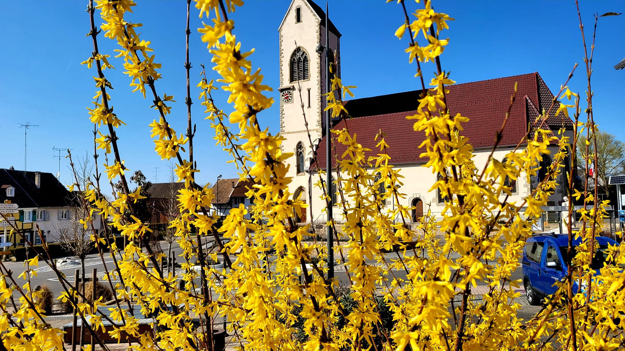 photo printemps
